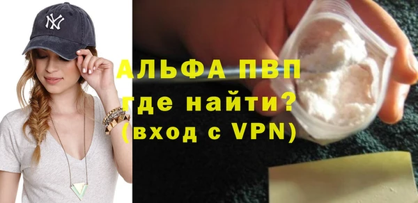 сатива Абинск