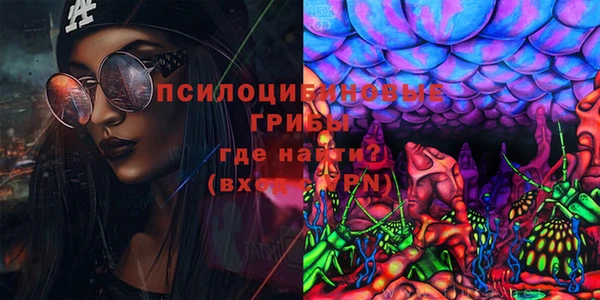 сатива Абинск