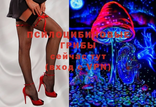 сатива Абинск