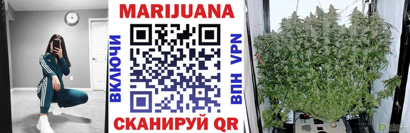 kraken сайт  сколько стоит  Урень  Бошки Шишки планчик 